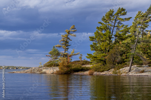 pine tree on the shore of lake photo