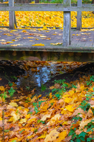 Fototapeta Naklejka Na Ścianę i Meble -  wooden footbridge in the park in autumn, yellow leaves on the ground 