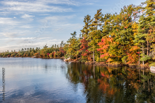 Colourful autumn leaves at Beausoleil Island, Frying Pan Bay photo