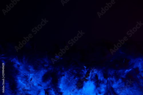 Beautiful abstract purple and blue feathers on the dark and black background and colorful soft black feather texture