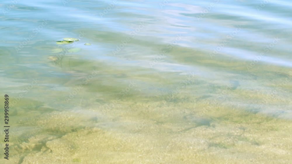 揺らぐ水面02