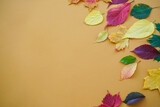 Autumn leaves on a brown background, with place for text