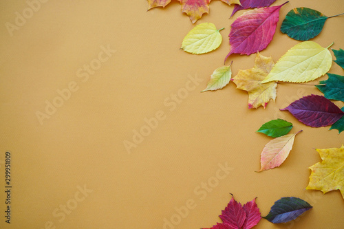 Autumn leaves on a brown background, with place for text
