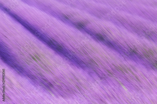 Motion blur of the rows of a lavender field near Valensole, Alpes-de-Haute-Provence, Provence-Alpes-Côte d'Azur, France.