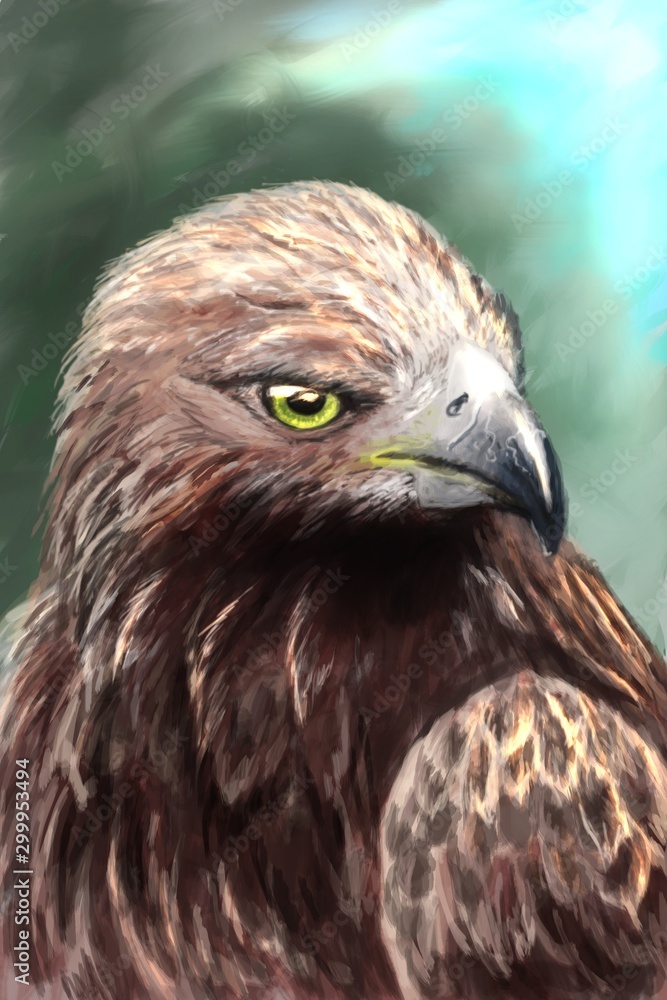 Beautiful portrait of an eagle