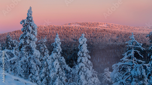 Arctic light, Pyhätunturi, Lapland, Finland