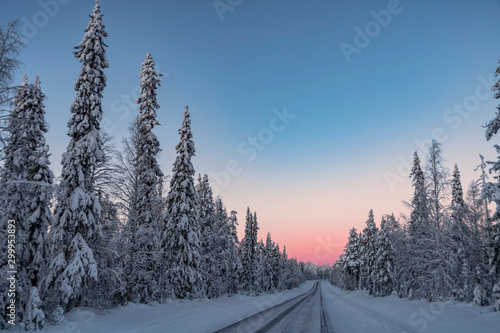 Frozen road and trees with Arctic light close to Luosto, Lapland, Finland photo