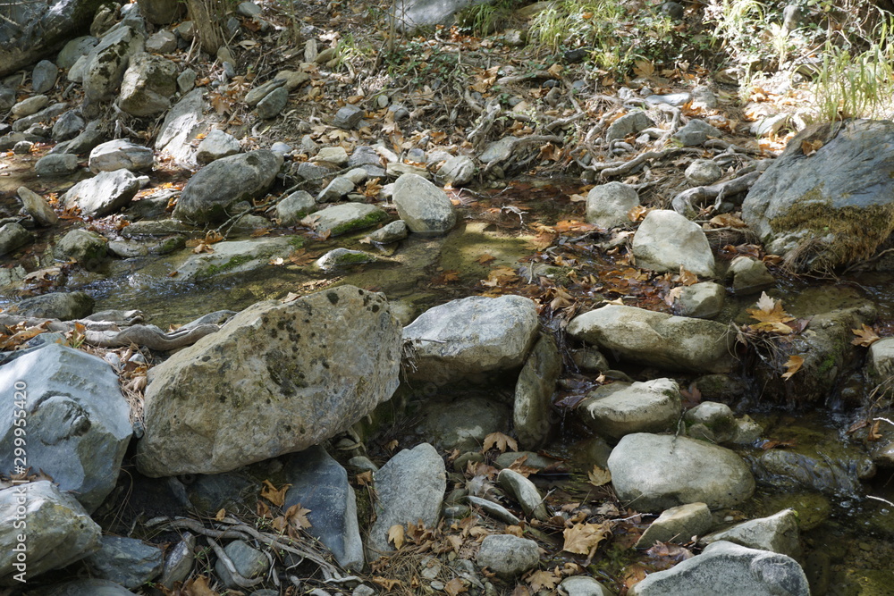 stones in water