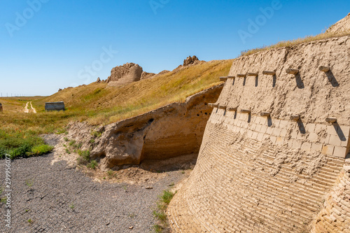 Turkestan Ancient Sauran 28 photo