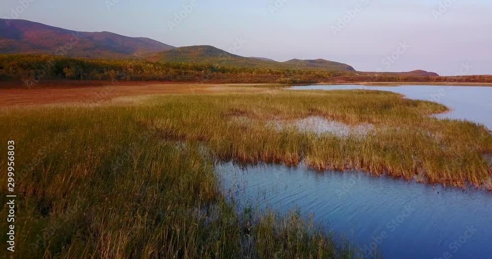 View from above. Beautiful autumn landscape. Flying over the grassy shore of Lake Blagodatnoe in the Sikhote-Alin Biosphere Reserve. View from above. Beautiful autumn landscape. Flying over the grassy shore of Lake Blagodatnoe in the Sikhote-Alin Biosphere Reserve.