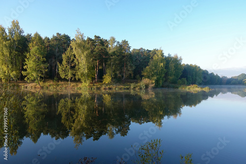 Ideal landscape. Autumn day. Lake in the forest.