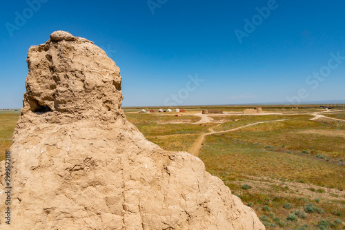 Turkestan Ancient Sauran 45 photo