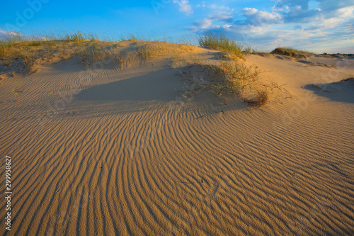 summer sandy desert landscape under a cloudy sky at the evening