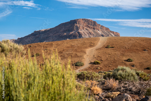 paths around of the Teide mountain  Tenerife