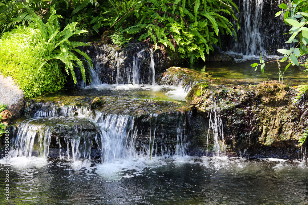Waterfall and small pond in garden. Waterfall and small pond in garden.