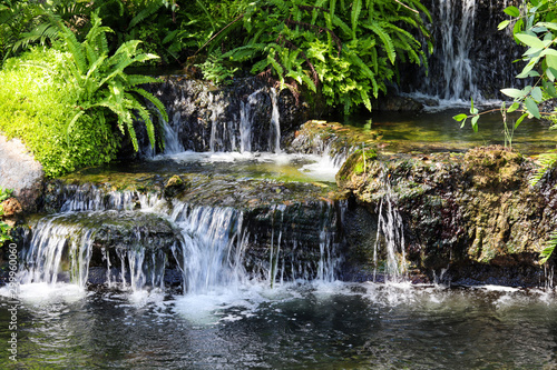 Waterfall and small pond in garden.