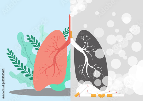 Lungs Concept.