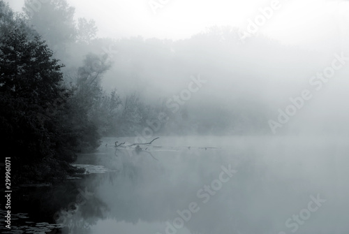 fog over lake