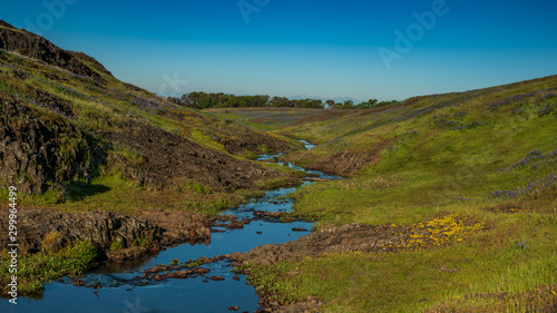 Creek at Table Mountain Ecological Preserve in the springtime, Oroville, California, USA