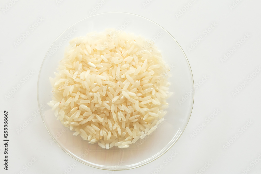 rice rice