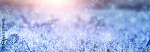 Winter frosty morning. Winter snow background, blue color, snowflakes, sunlight, macro. Frozen grass under the snow, snowflakes and sunlight, rays. Blurred background. 