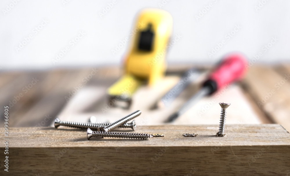 Fototapeta premium set of silver screws on wooden top table background. One of them screwed into timber wood and blurred screw driver, measuring tab and pencil in the back