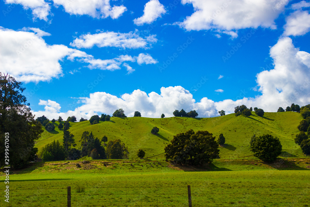 Landschaft in Neuseeland, Südinsel