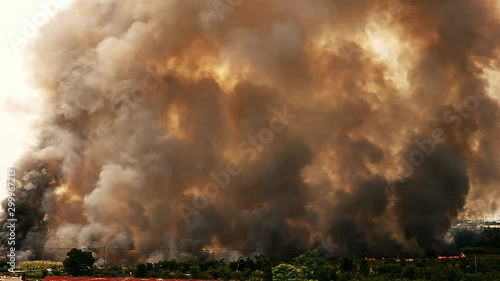 Thick plumes of dark smoke rise from the forest in a city that is on fire and burning due to deforestation. Dark yellow, black, and gray smoke billows into the sky.