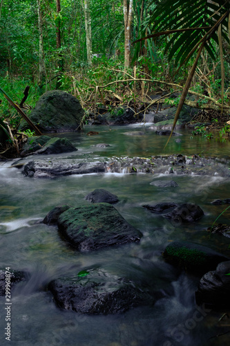 Long exposure streams in the forest that pass rock
