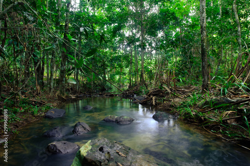 green trees around the streams represent the abundance of rainforest in Thailand Phang Nga Koh Yao Yai