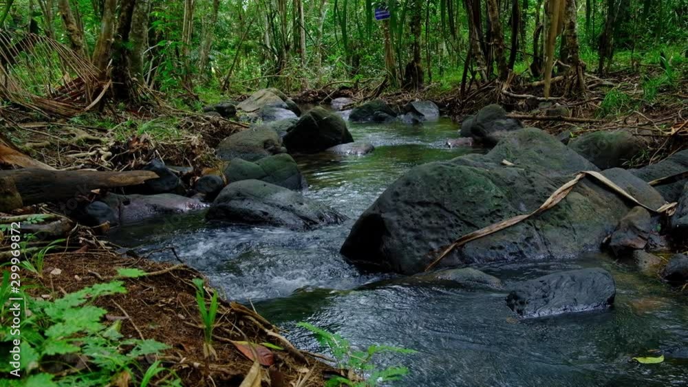 stream Flowing through a rock covered with moss in rainforest of Koh yao yai,Phang Nga,Thailand stream Flowing through a rock covered with moss in rainforest of Koh yao yai,Phang Nga,Thailand