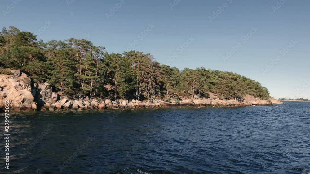 Pine Tree Forest Island in Stockholm Archipelago Pine Tree Forest Island in Stockholm Archipelago