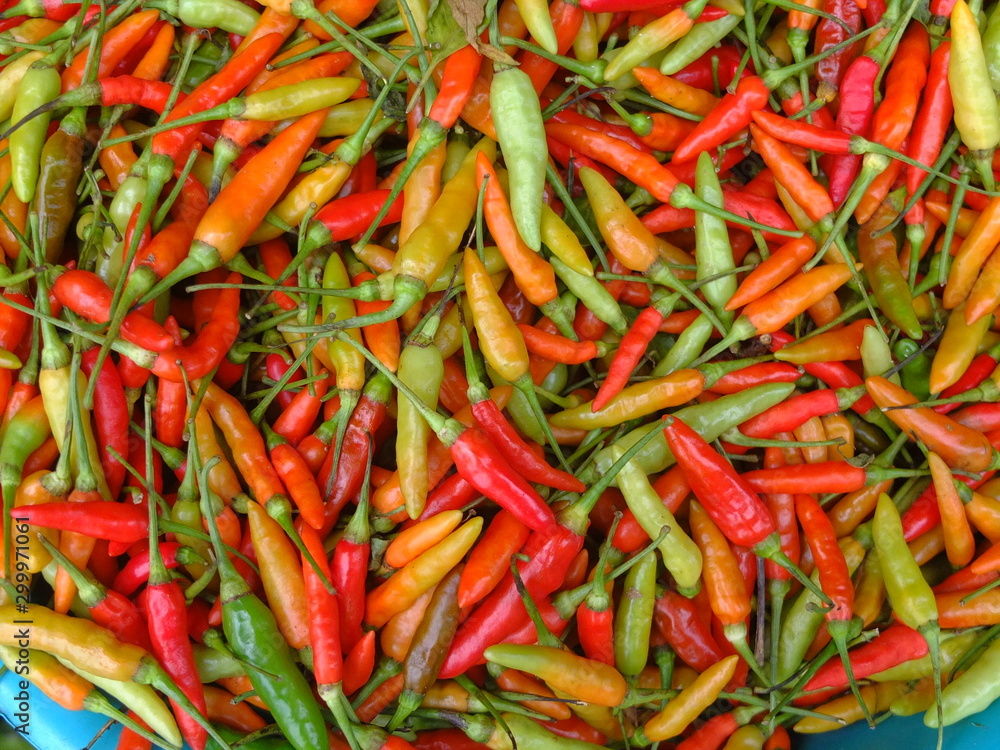 Red and green chillies background Red and green chillies background