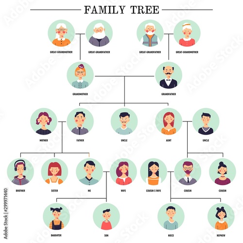 Family tree human avatars relationship scheme
