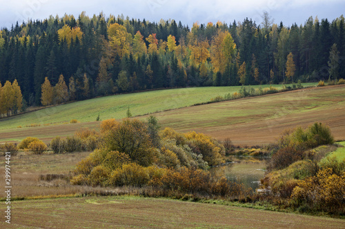 An autumnal landscape with yellow trees and bushes. A small river flowing silently between fields