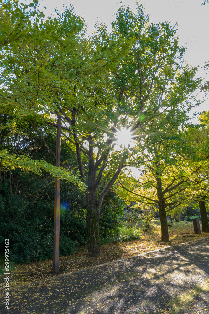 昭和記念公園 昭和記念公園