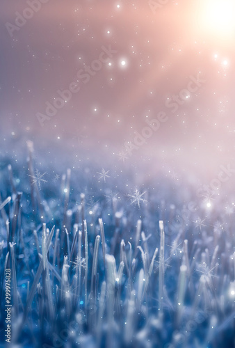 Empty snowy scene. Abstract winter background. Frost, snowflakes. Sunlight in the winter.