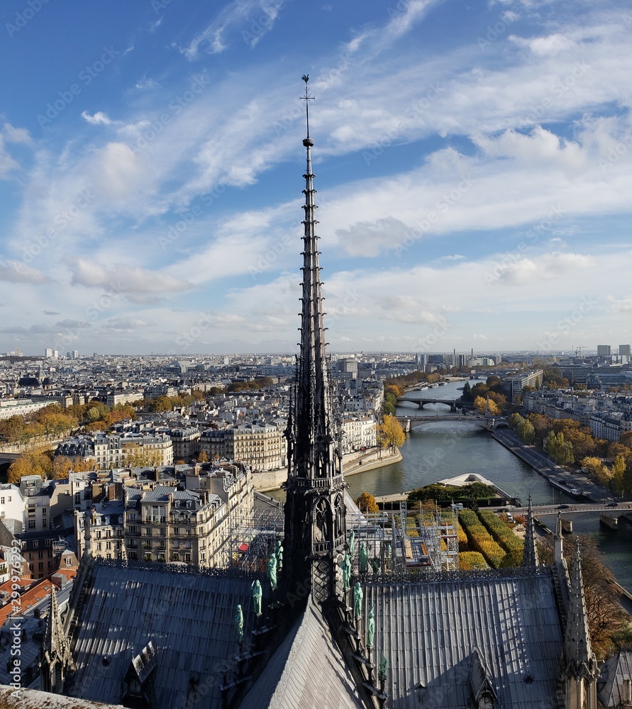 Fototapeta premium view of paris from notre dame tower