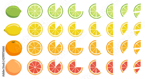 Vitamin C. Set of vector elements. Bright fresh ripe juicy whole and cut citrus fruit and slices isolated on white background. Lime lemon orange grapefruit. Clip art for your design