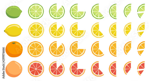 Vitamin C. Set of vector elements. Bright fresh ripe juicy whole and cut citrus fruit and slices isolated on white background. Lime lemon orange grapefruit. Clip art for your design