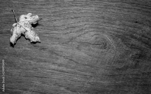 Maple leaf, oak grain