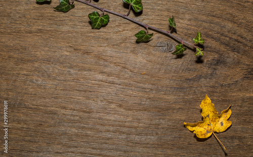 Maple leaf, oak grain