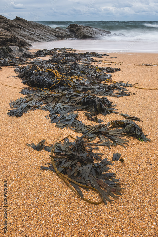 Obraz premium Beach of Île d'Yeu