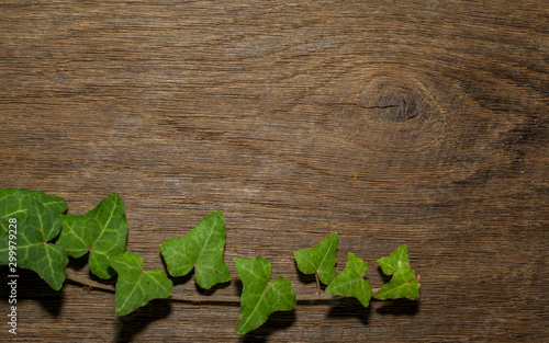 Maple leaf, oak grain
