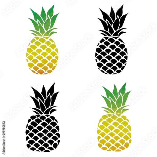 Pineapple vector black and white three different outlines. Vector Illustration.