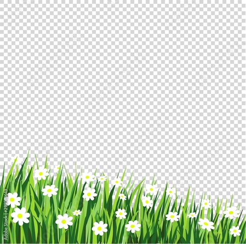vector row of grass with white flowers on transparent background, cartoon design