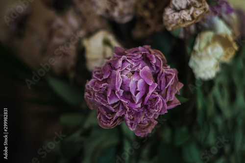 withered flowers in a bouquet, close up