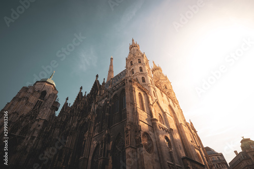 Stephans dome in Vienna cit...