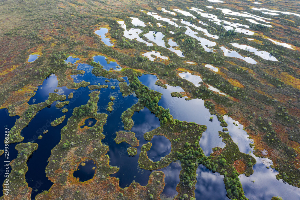 Sunset in the bog, golden marsh, lakes and nature environment. Sundown evening light in summer Sunset in the bog, golden marsh, lakes and nature environment. Sundown evening light in summer