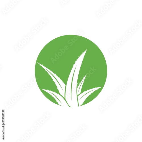 Aloe Vera logo vector icon concept